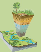 Where rock meets life: Researchers at NSF's Critical Zone Observatories study Earth's surface.